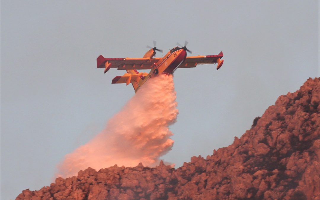 Incendi. Sbarra: “Vuoto inaccettabile nelle politiche nazionali e regionali di presidio e legalità, prevenzione e difesa ambientale”