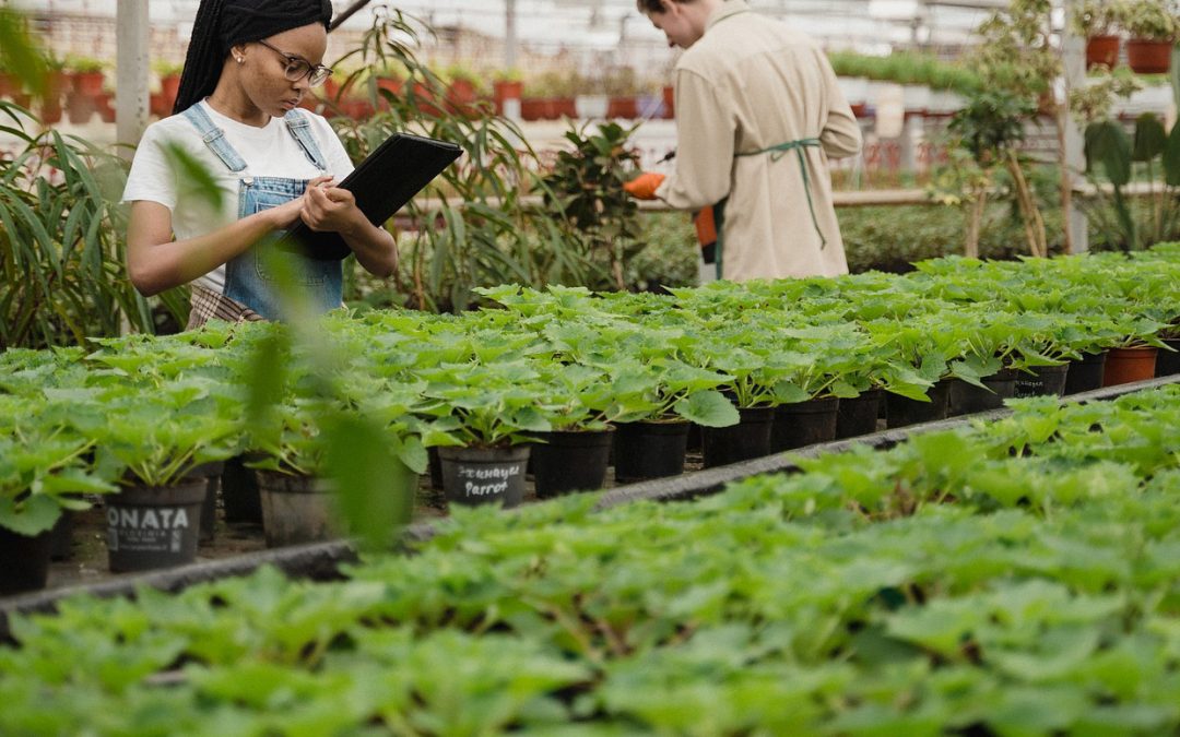 Lavoro. Sbarra: “Bella notizia la firma del nuovo Ccnl operai agricoli e florovivaisti”