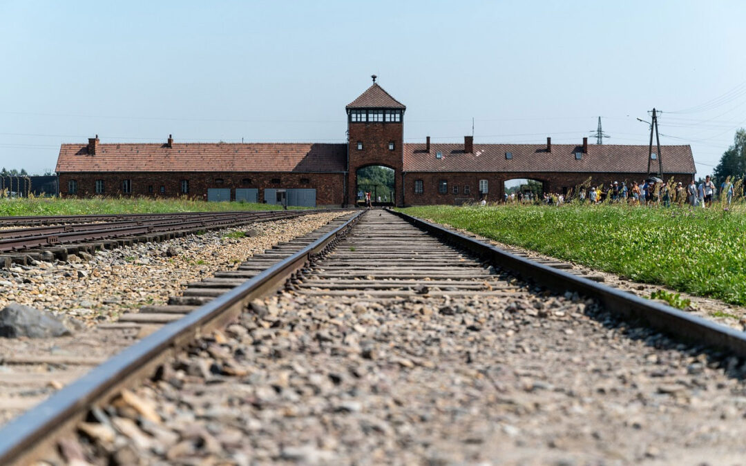 Giornata della Memoria. Fumarola: “Ricordare la Shoah è un impegno quotidiano contro odio, intolleranza e discriminazione”