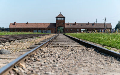 Giornata della Memoria. Fumarola: «Ricordare la Shoah è un impegno quotidiano contro odio, intolleranza e discriminazione»