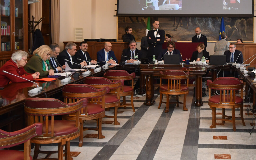 Partecipazione. Sbarra: “È la via maestra per elevare salari, radicare investimenti e occupazione. Vari disegni di legge confluiscano in un testo unificato che integri i contenuti della proposta Cisl”