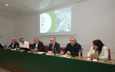 Pubblico impiego. Sbarra al Consiglio generale Fp Cisl: “Bisogna rinnovare presto tutti i contratti pubblici. Questo e’ il nostro obiettivo”