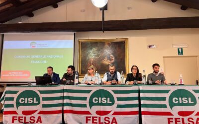 Lavoro. Fumarola al Consiglio generale Felsa Cisl: “Vera sfida oggi e’ investire in formazione e riqualificazione lavoratori”