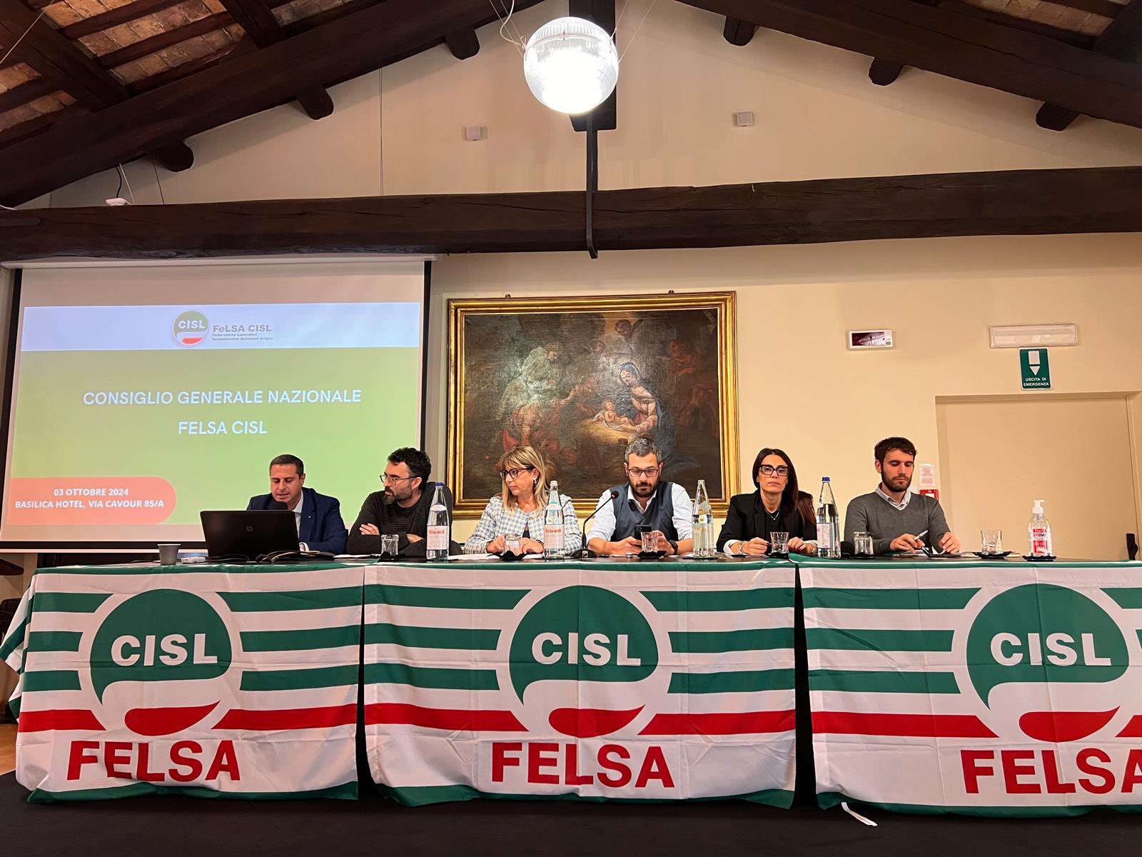 CG_Felsa_2