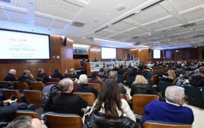 Lavoro. Sbarra al Consiglio generale della Filca Cisl: “Serve un grande contratto sociale su crescita, salari più alti, buona occupazione, sicurezza sul lavoro, rilancio della sanità pubblica, innovazione”