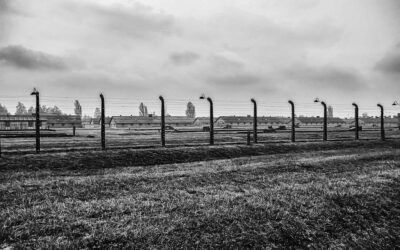 Giorno della memoria. Sbarra: “Una pagina drammatica della storia del novecento che nessuno potrà mai cancellare. Trasmettere ai giovani i valori di libertà, democrazia e di una pace giusta”