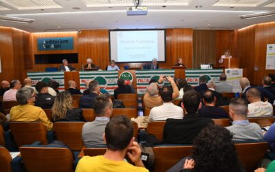 Sindacato. Fumarola ai 70anni della Filca Cisl: “Tante le battaglie della federazione che sono poi diventate battaglie di tutto il sindacato italiano”