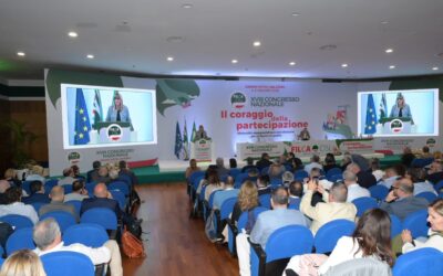 Lavoro. Fumarola al XVIII Congresso della Filca Cisl: “Alleanza tra sindacato, governo e imprese su sicurezza, sviluppo, legalità e qualità del lavoro nei cantieri”