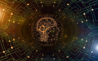 Lavoro. Pirulli: “Osservatorio sull’Intelligenza artificiale può accelerare tasso di incremento della produttività. Banco di prova della legge sulla partecipazione”