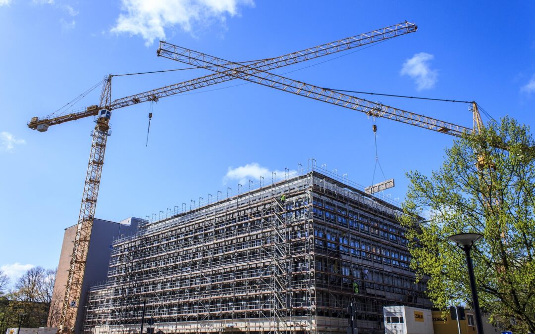 Istat. Pirulli: “Disoccupazione ai minimi storici ma ora serve un patto per sviluppo, qualita’ e stabilita lavoro, formazione, innovazione”