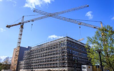 Istat. Pirulli: “Disoccupazione ai minimi storici ma ora serve un patto per sviluppo, qualita’ e stabilita lavoro, formazione, innovazione”