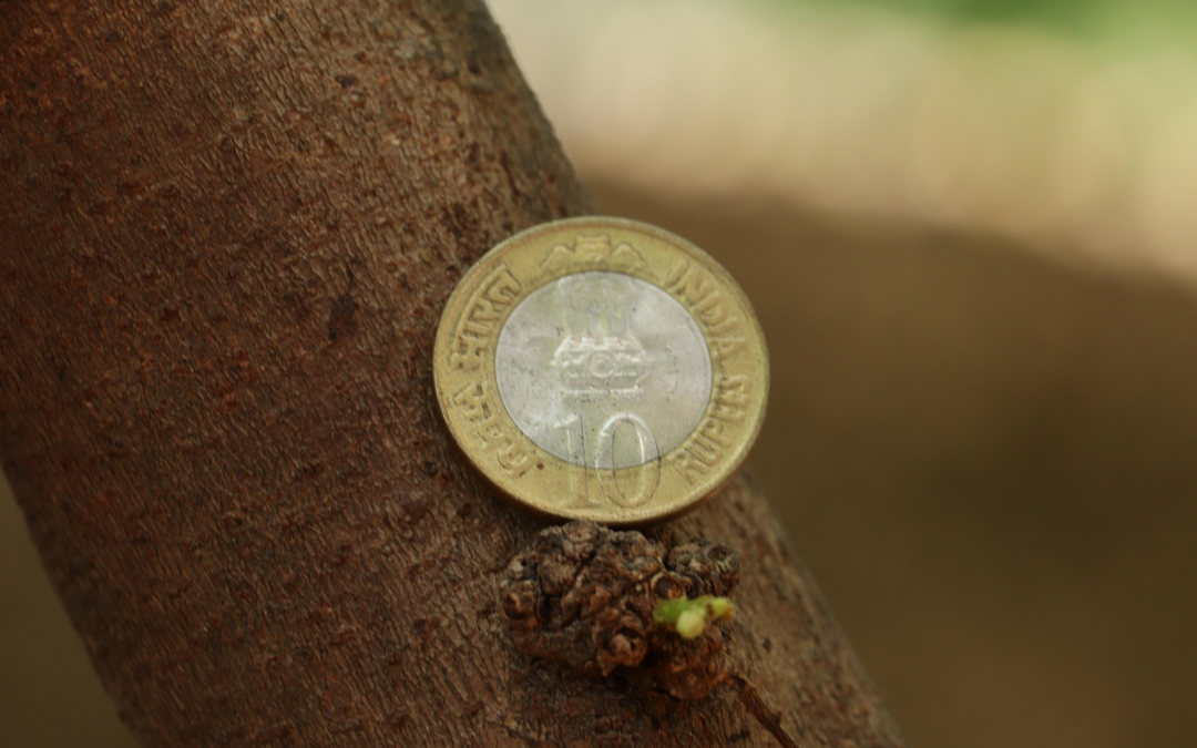 Zes. Ganga: «Bene l’allargamento a Marche e all’Umbria. Una scelta coerente che rafforza l’impianto strategico e riduce frammentazioni territoriali»
