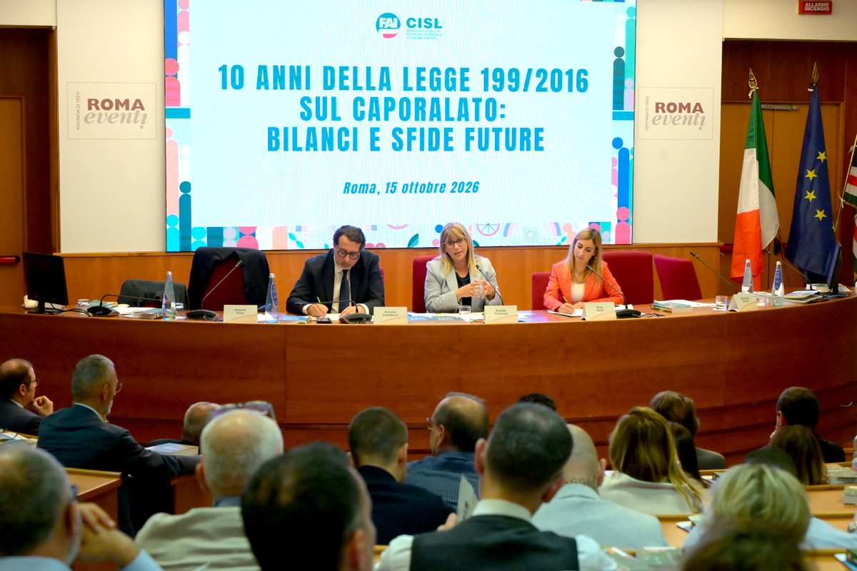 Made-in-Immigritaly Made in immigritaly: l'analisi di immigrazione e caporalato a 10 anni dalla legge 199 nel rapporto presentato a Roma da Fai Cisl