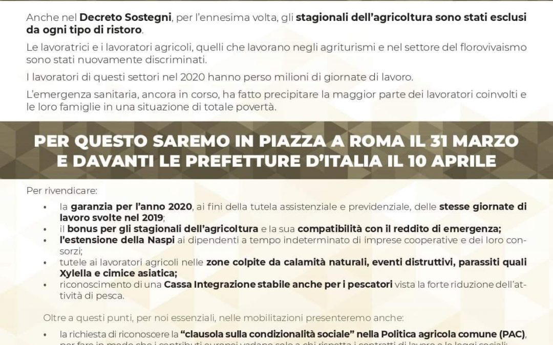 Lavoro. Sbarra: “La Cisl sostiene la mobilitazione dei lavoratori agricoli stagionali esclusi dal Decreto Sostegni”