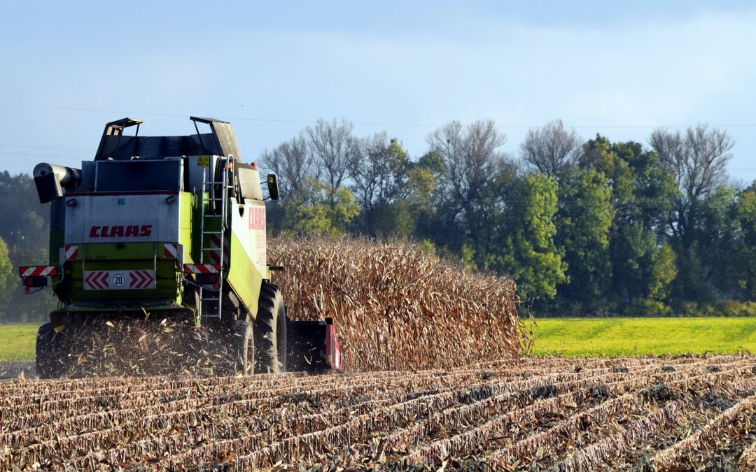 Lavoro. Cisl: “No alla reintroduzione dei voucher in agricoltura, turismo ed enti locali.  Il Dl Dignità va corretto”