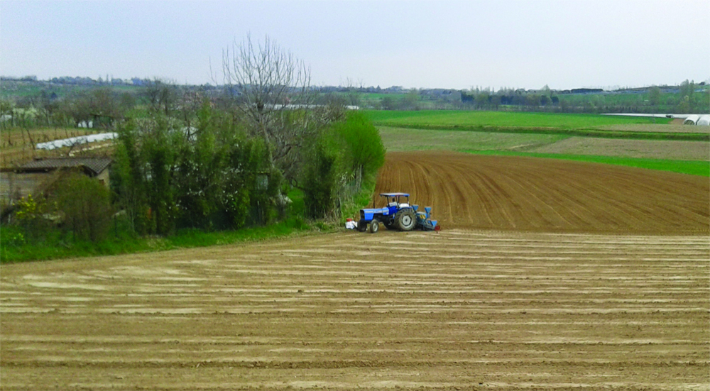 Agroalimentare. Rinnovo ccnl impiegati agricoli. Sbarra (Fai Cisl): “Accordo importante per un settore in continua crescita”