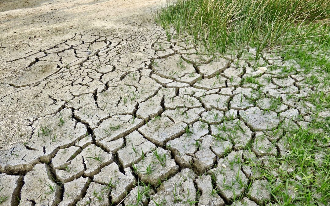 Giornata mondiale d’azione per il clima. Furlan: “Il Governo italiano mantenga gli impegni per la tutela dell’ambiente e la transizione ecologica”