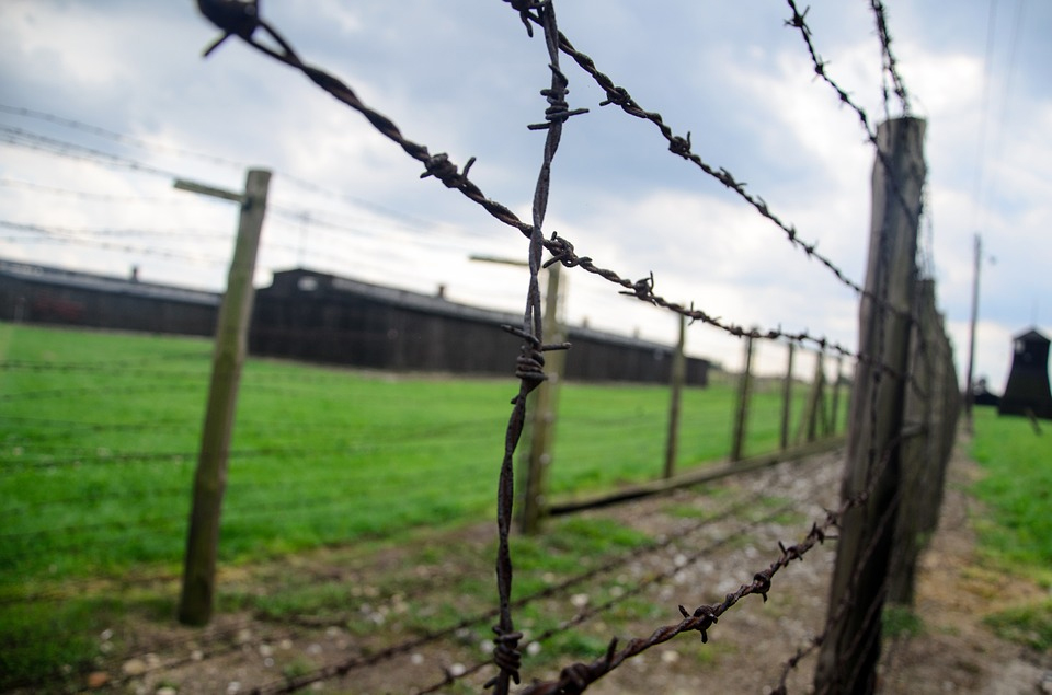 Giornata della memoria. ANOLF, Saady: “Onorare la Shoah sia di monito contro derive d’odio e intolleranza”